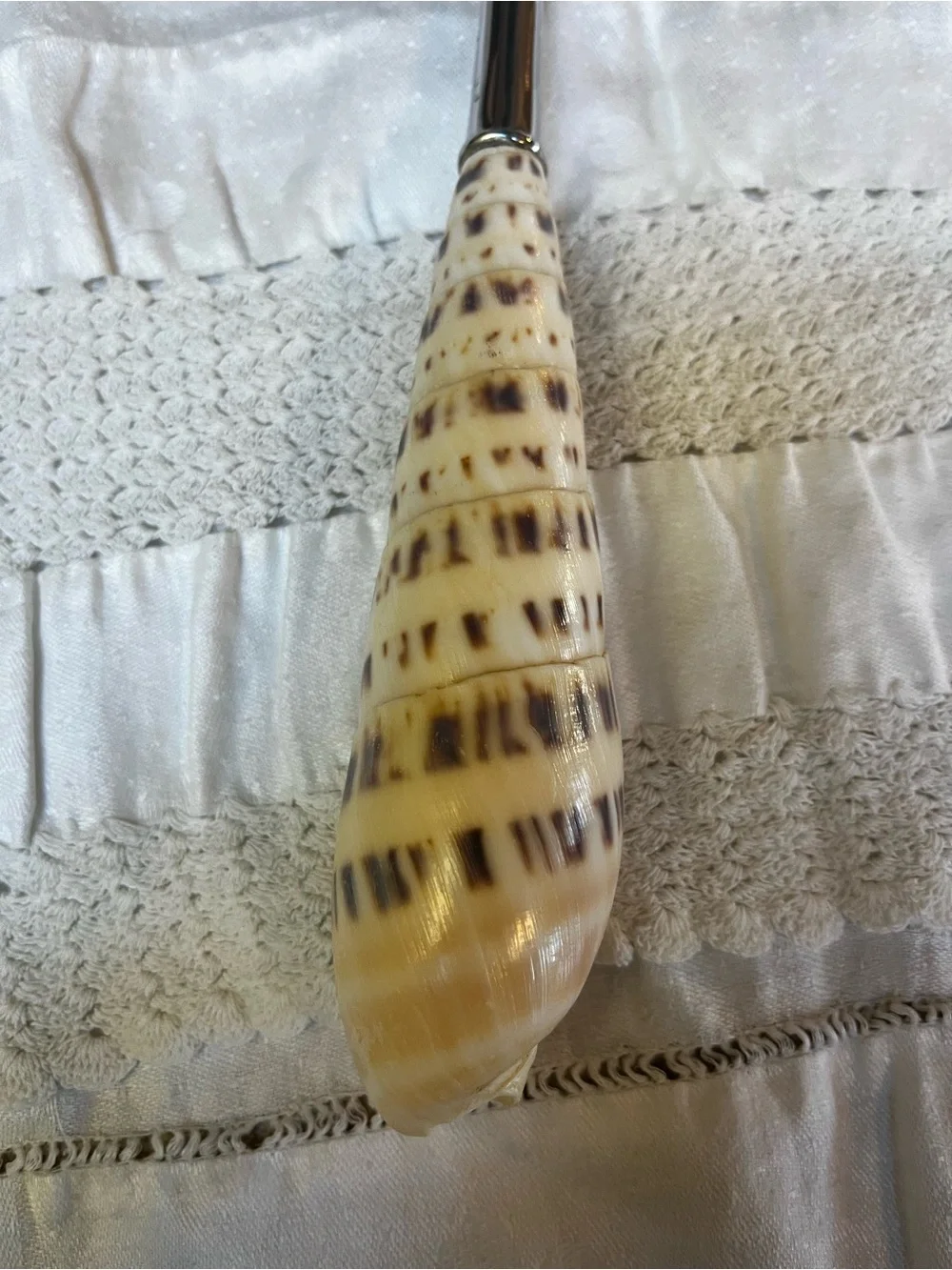 Mud Pie Seashell Handle Serving Dining Spoon – Coastal Shell